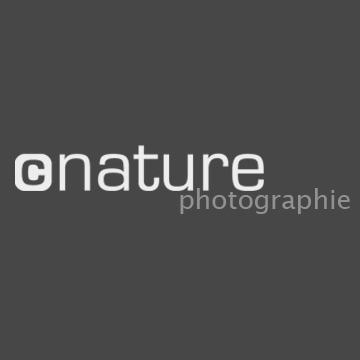 Logo réalisaiton de la banque d'images de l'agence photographique cNature